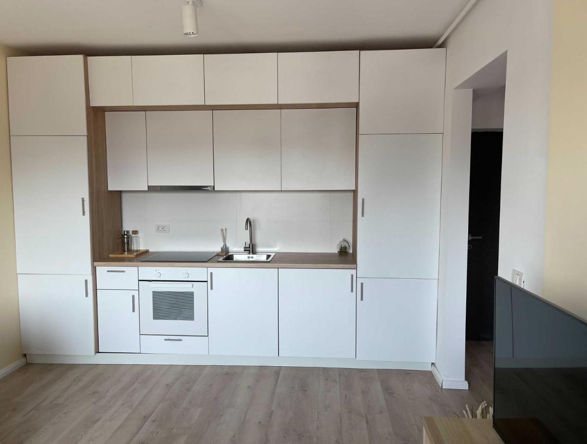 Oasis Luxury Apartment Near Presidential Palace 布加勒斯特 外观 照片